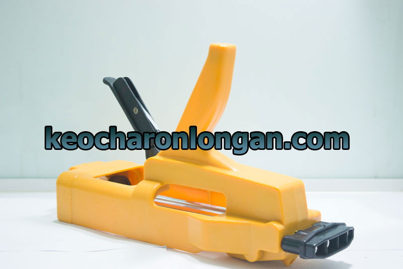 Hướng dẫn chà ron sàn gạch